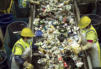 Поиск решения проблемы мусора: вред и вторичная переработка