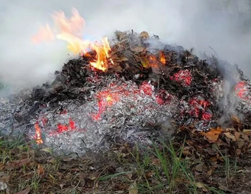 Сжигание мусора